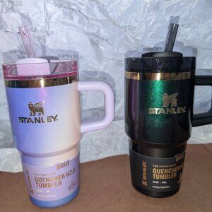 NWT Stanley x Wicked For Good Flowstate Quencher 20oz Tumbler GLINDA ELPHABA